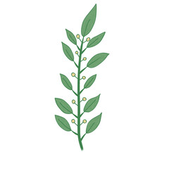 Flowers crayon style with pastel color 