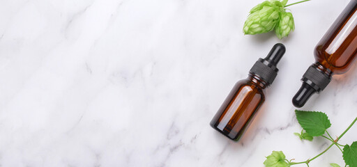 Aromatic or essential oil in bottles with fresh hop cones on a marble background with copy space