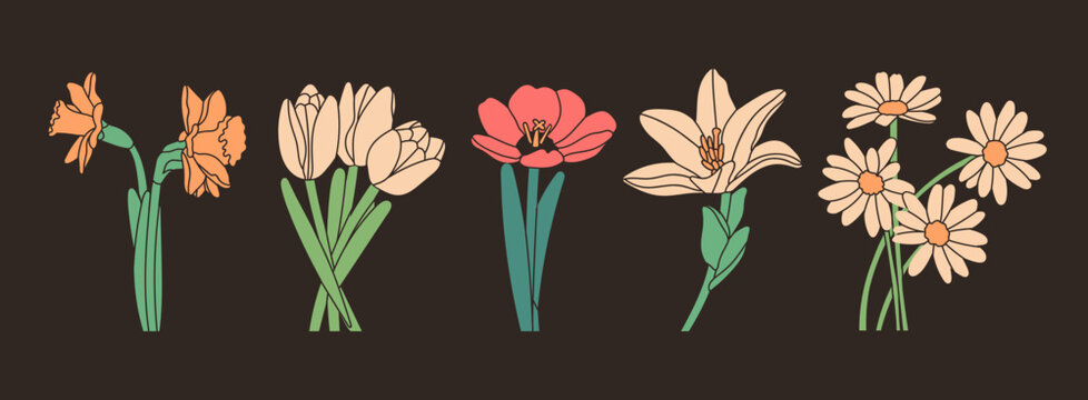Collection of various flowers. Daffodils, tulips, poppy, lily, camomile. Side view. Hand drawn modern Vector set. Colorful trendy illustration. Floral design templates. All elements are isolated