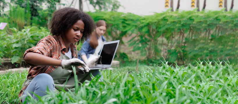 teenage female student uses laptop computer to analyze and research agricultural crops in vegetable plot with copy space, agricultural technology concept