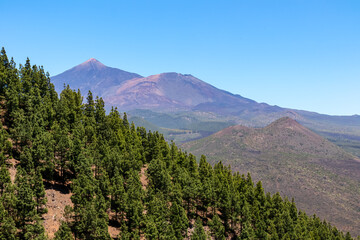 Fototapeta premium Scenic view on volcano Pico del Teide seen from Pico Verde, Teno mountain range, Tenerife, Canary Islands, Spain, Europe. Hiking trail in Masca village. Focus on lush green Canarian pine tree forest