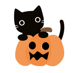 halloween cat with pumpkin
