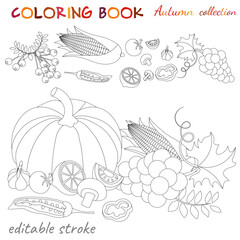 Autumn collection. Pumpkins, grapes, corn. Autumn still life. Relaxation coloring template.