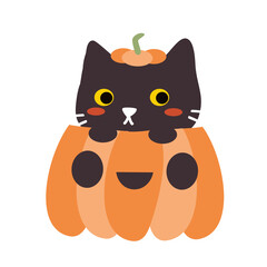 cat with pumpkin