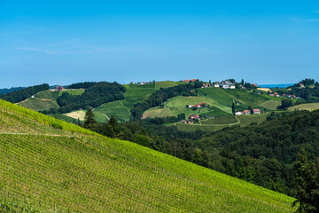 Fototapeta na wymiar Beautiful panorama view of vineyard and farmland in south Styria near Gamlitz on a sunny summer day with blue sky cloud, Austria