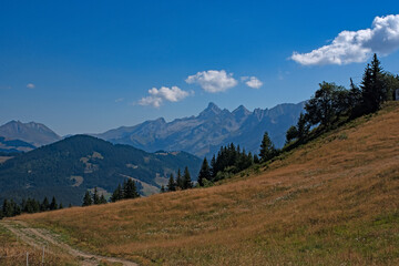 Fototapeta na wymiar Panorama des Alpes, le massif des Aravis