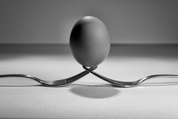 two forks hold a chicken egg.