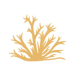 Corals crayon style pastel color