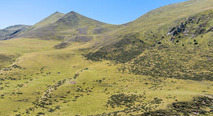 Fototapeta premium randonnée au puy de la tache dans le massif du sancy dans la chaîne des Puys en auvergne en été en france