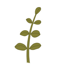Flowers crayon 