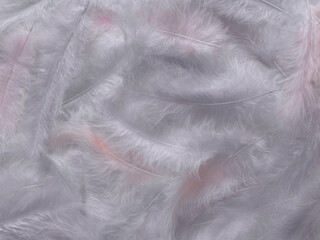 abstract textured background delicate white pink beautiful feathers