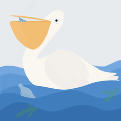 Pellicano nel mare di plastica