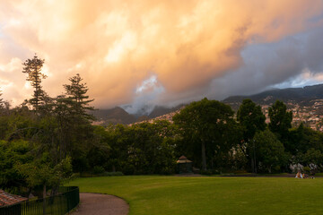 Naklejka premium Park and sunset