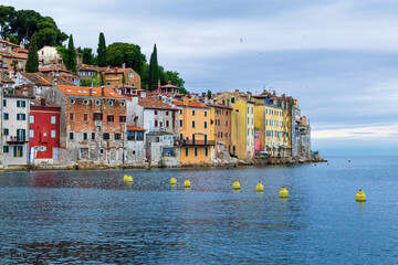 Birds fly along the colorful and dramatic coastline of Rovinj Croatia