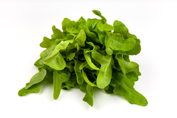 - Grüner Kopfsalat isoliert auf weißem Hintergrund -regionales, saisonales Gemüse