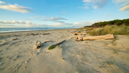 Landscape with sandy beach on the ocean on Oregon coast at sunset.