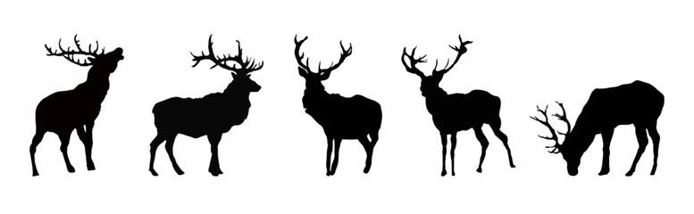 Set of   silhouette of  deers