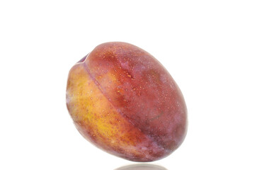 One ripe plum, macro, isolated on a white background.