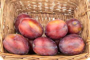Several juicy plums in a vine basket, close-up, isolated on a white background.