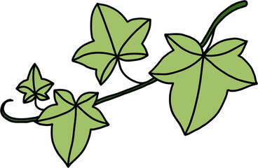 simplicity ivy freehand drawing flat design