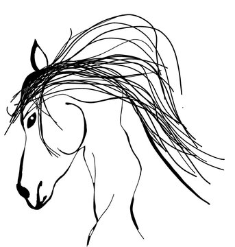 Dessin Cheval