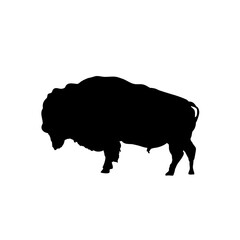 silhouette of a bison, side view - vector illustration