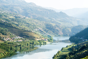 Douro river amidst vineyards on the hills, Portugal