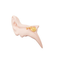 Ear inner parts anatomy  - obrazy, fototapety, plakaty