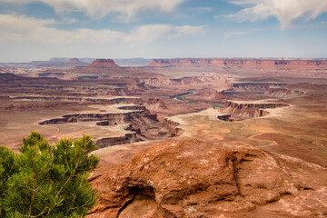 Fototapeta premium Canyonlands Vista