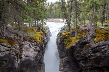 Kootenay Plains Ecological Reserve, AB