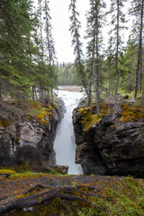 Kootenay Plains Ecological Reserve, AB
