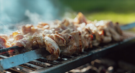 Shish kebab made from marinated chicken and cooked on barbecue grill over charcoal. Traditional picnic food. Outdoor food concept.