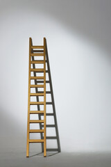 ladder to success