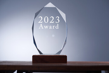 text 2023 award on crystal or glass trophy