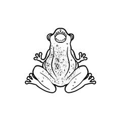 Green frog. Medieval Heraldic coat of arms crest shield emblem. Vector illustration for sticker, poster, banner, web, t-shirt print, pin, bag print, badge. Black and white isolated artwork.