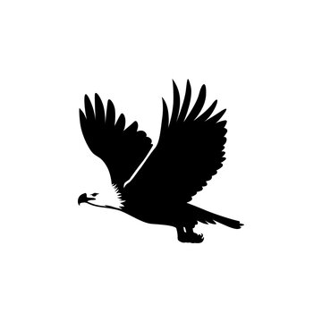 flat vector of eagle flying on side view for logo suggestion