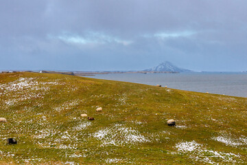 Mývatn  Vulkanischer See mit einer geothermisch erwärmten Lagune, Wildvögeln und Schafe