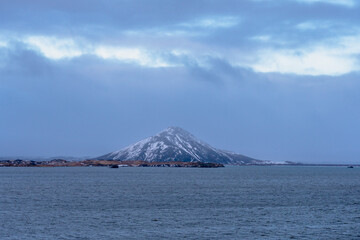 Mývatn  Vulkanischer See mit einer geothermisch erwärmten Lagune, Wildvögeln und Schafe