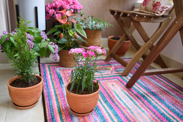 Beautiful terrace or balcony with  flowers. Colorful Rug Carpet and Pots. Summer time Idyllic seating in the terrace with drink. Mini carnations in interior of cozy balcony.