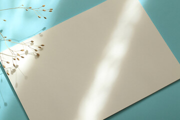 blank white paper page with dry autumn flowers, sunlight and shadows on pastel blue background