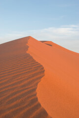 Fototapeta na wymiar Crest of a sand dune in Erg Chebbi, Sahara Desert, Morocco.