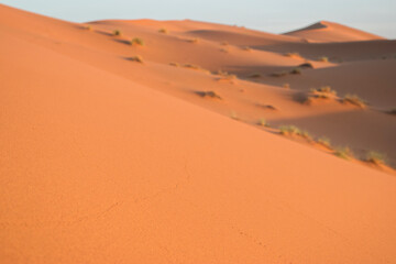 Sand Dune in Erg Chebbi, Sahara Desert, Morocco.