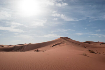 Fototapeta na wymiar Sand Dunes in Erg Chebbi, Sahara Desert, Morocco.