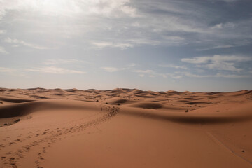 Fototapeta na wymiar Camel Tracks through Sand Dunes in Erg Chebbi, Sahara Desert, Morocco.