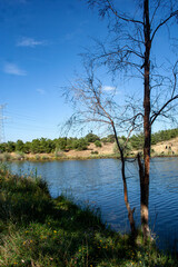 lagoon landscape with trees in autumn