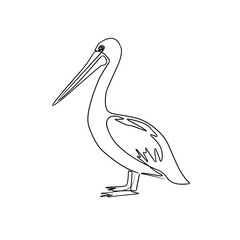 Vector illustration of a pelican in line art style