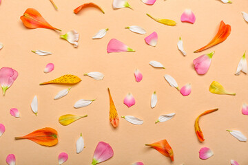 Floral petals on beige background