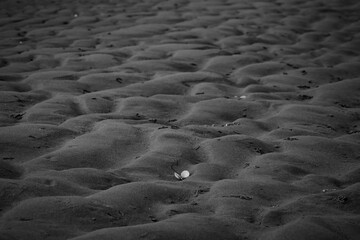 Wattenmeer