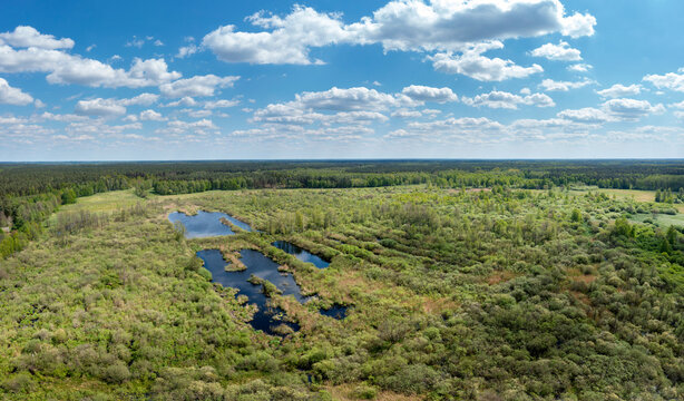 Polana Siwica nature reserve in central Poland
