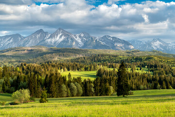 Beautiful spring landscape of Tatra mountains - obrazy, fototapety, plakaty